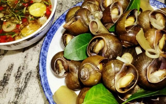 Ốc Chị Lệ - 88 Cửa Bắc