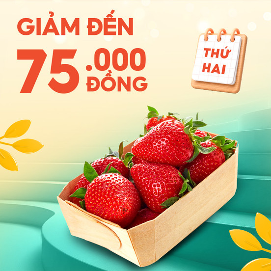 Deal Tốt Đầu Tuần Giảm Đến 75.000Đ