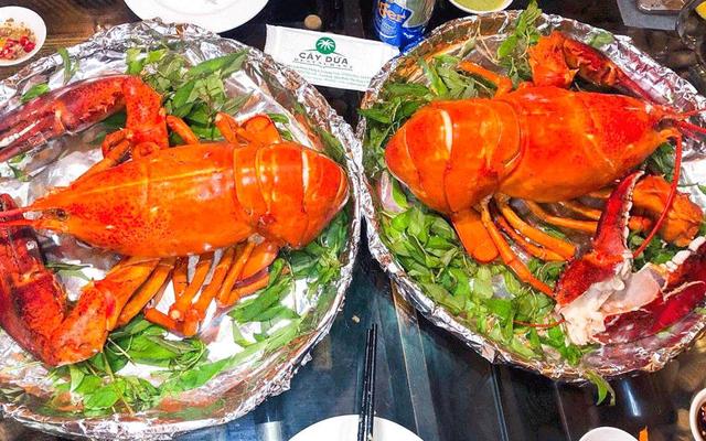 Nhà Hàng Cây Dừa