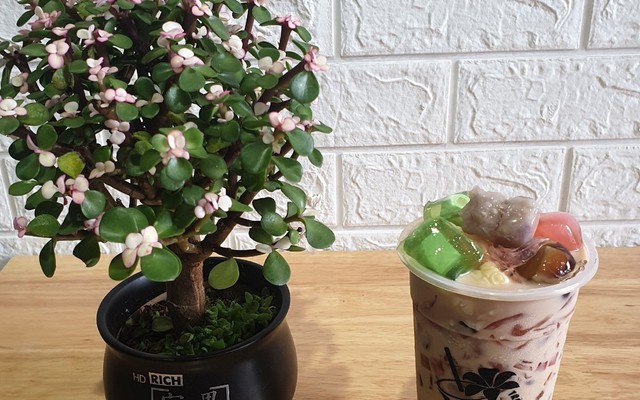 Hoa Ly - Trà Sữa Nhà Làm - Phan Văn Trị