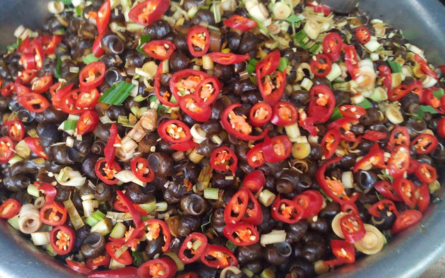 Ốc Hút Mai - Ngã 4 Thương Tín