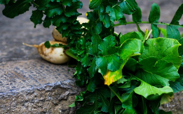 Organic Foods