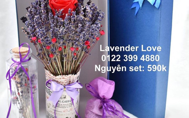 Lavender Love