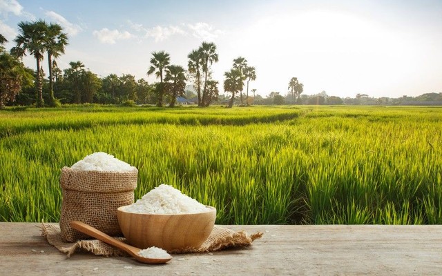 Shop Gạo Hoa Lúa - Sương Nguyệt Ánh