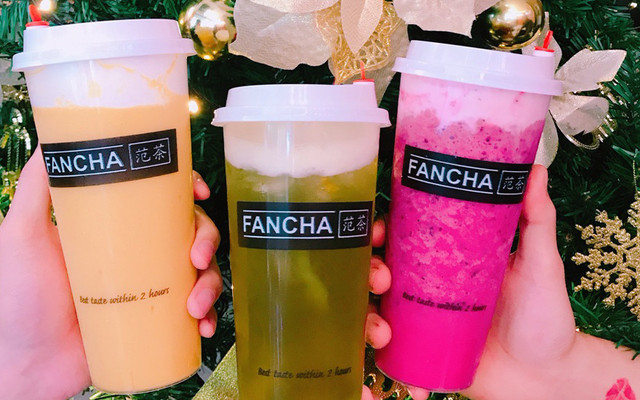 Trà Sữa Fancha - Cao Đạt