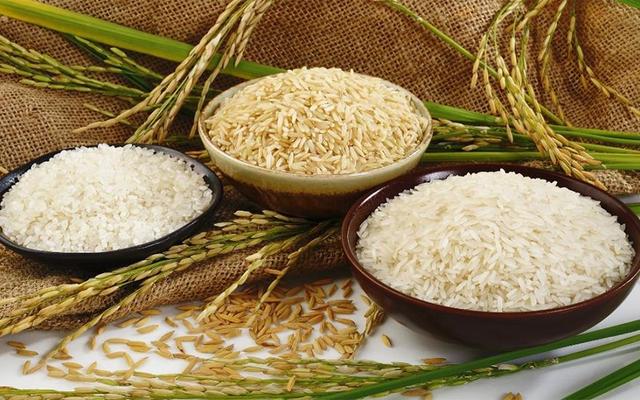 Nông Sản Gia Phú - Đặc Sản Gạo Và Ngũ Cốc