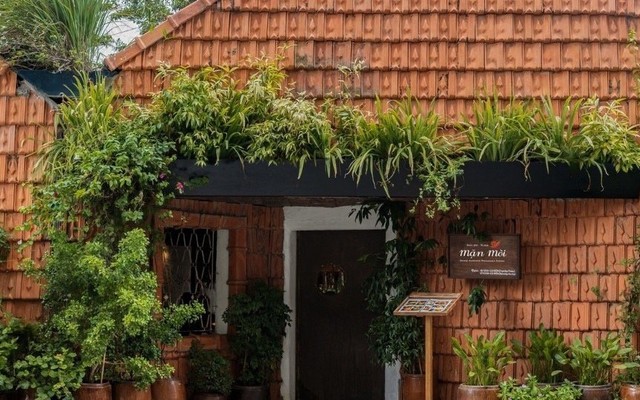 Mặn Mòi - Thảo Điền