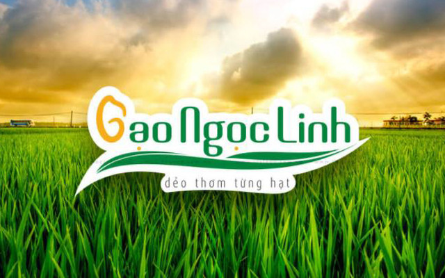 Gạo Ngọc Linh - Nguyên Hồng