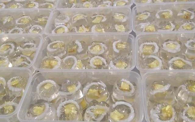 Rau Câu & Bánh Flan Bảo Bảo