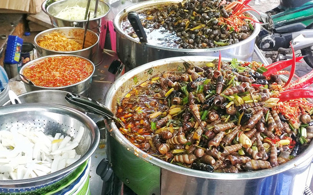 Ốc Bé Ly - Hải Phòng