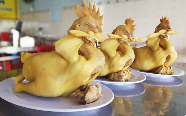 Gà Ta Tam Kỳ - Huệ Trần