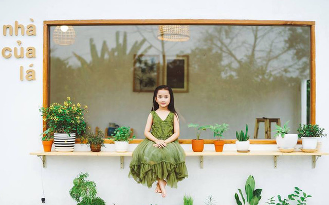 Nhà Của Lá