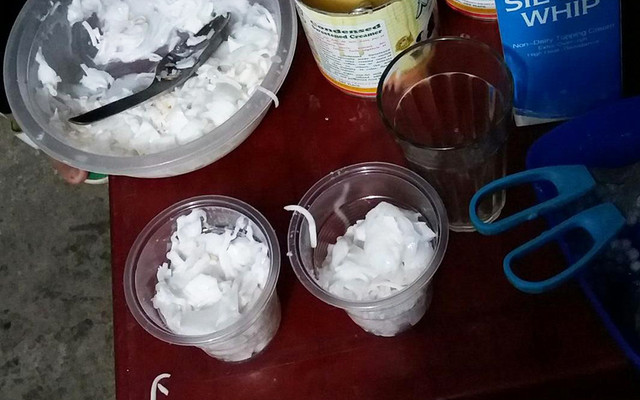 Dừa Dầm & Sữa Chua - Nguyễn Tất Tố