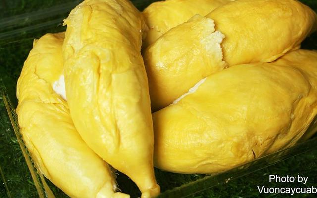 Vườn Cây Của Ba 