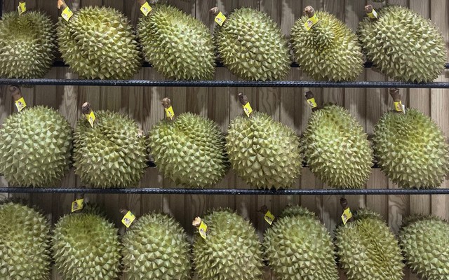 Cô Hoa - Sầu Riêng Online