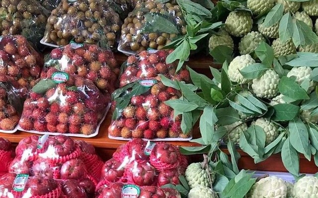 Gia Bảo - Bánh Cuộn & Ăn Vặt