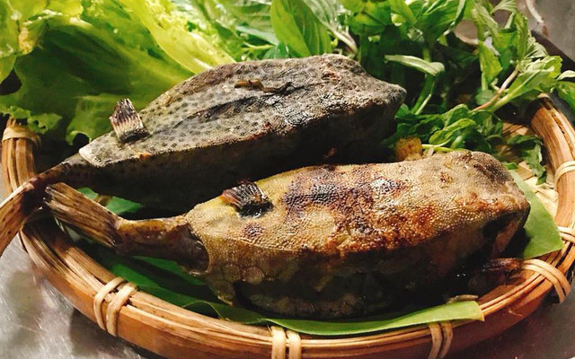 Tâm Râu Quán - Nhậu Bình Dân