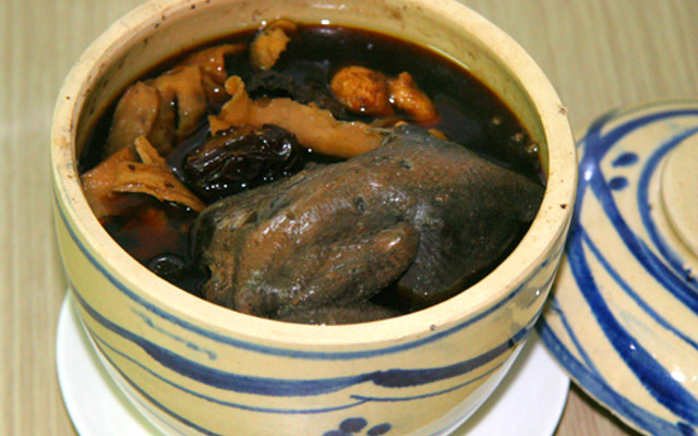 Ngọc Yến - Gà Tần Thuốc Bắc