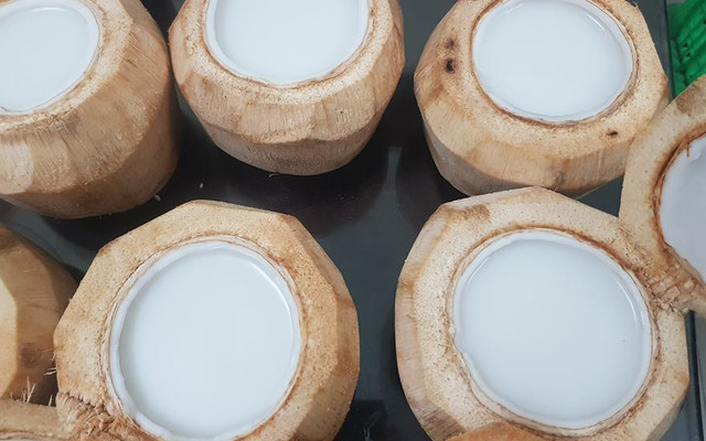 Gà Con - Thạch Dừa & Nước Ép Hoa Quả Online