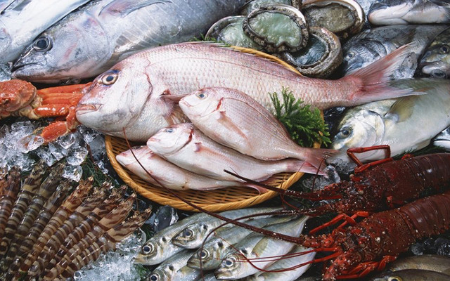 Băng Hải Sản Phan Thiết