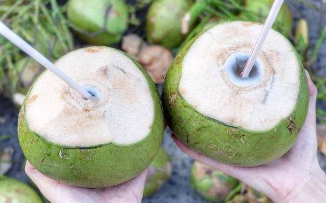 Sương Sa - Đặc Sản Dừa Xiêm Bến Tre