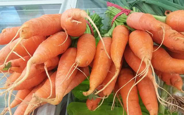 Tamfood - Thực Phẩm Sạch - Cát Bi