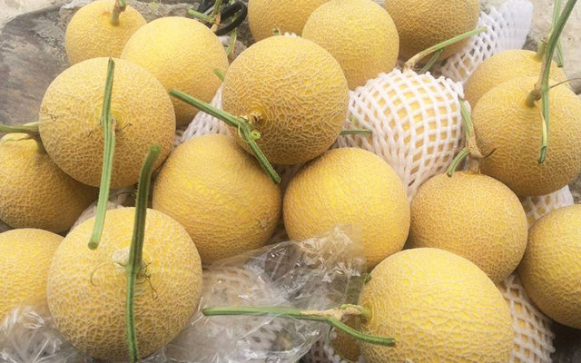 Tamfood - Thực Phẩm Sạch - Đằng Hải