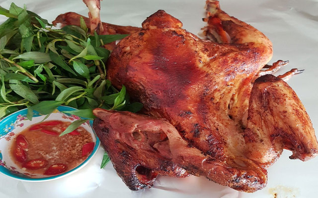 Thanh Thảo - Gà Nướng Lu