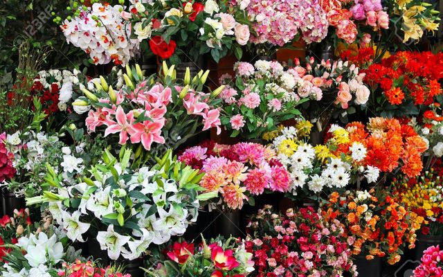 Flower shop for testing