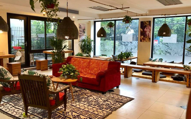 Zenith - Cafe & Vegan Food