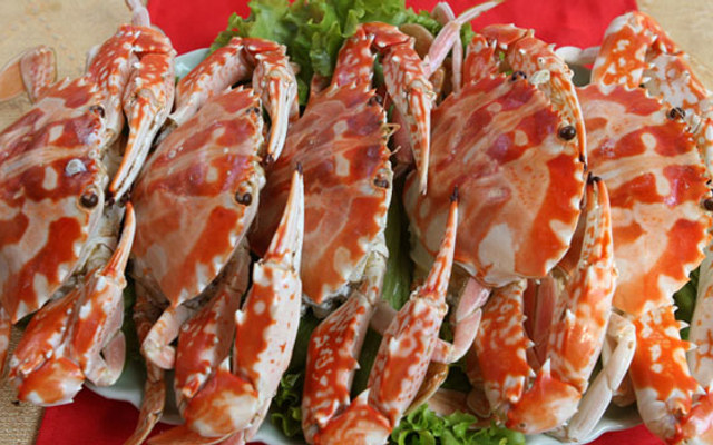 Thế Giới Ốc Nàng Hai