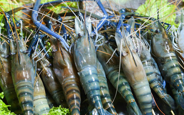 Miền Tây Quê Em (Shop Online)