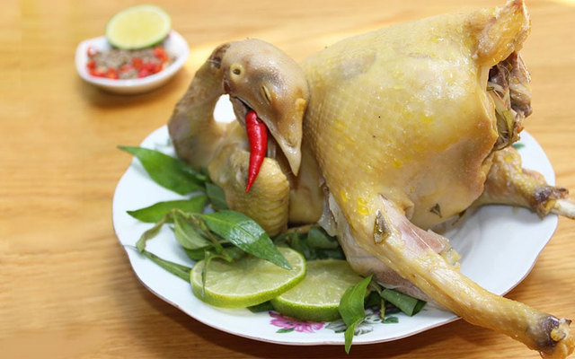 Gà Ta & Vịt Lưu Bình