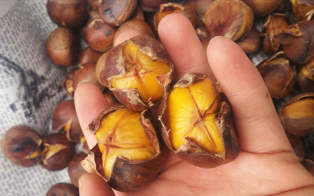 Ngô, Khoai & Hạt Dẻ - Shop Online