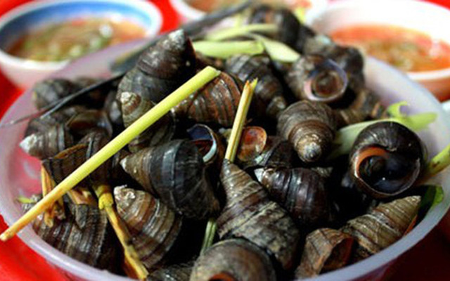 Ốc Sò 55