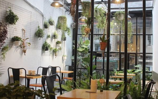 Treeki - Coffee & Plant