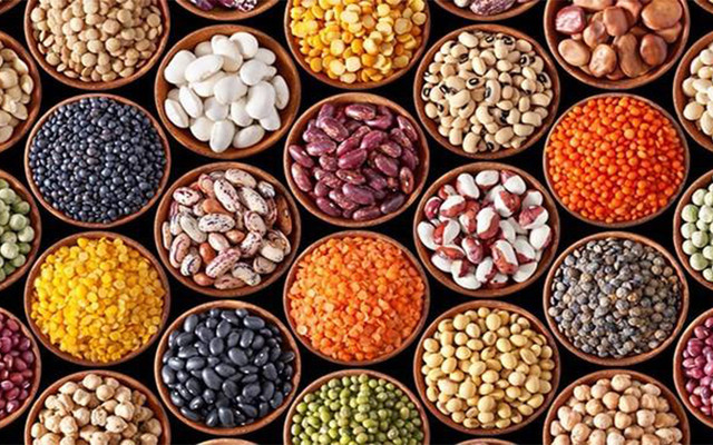 Thiện Nhân Organic House