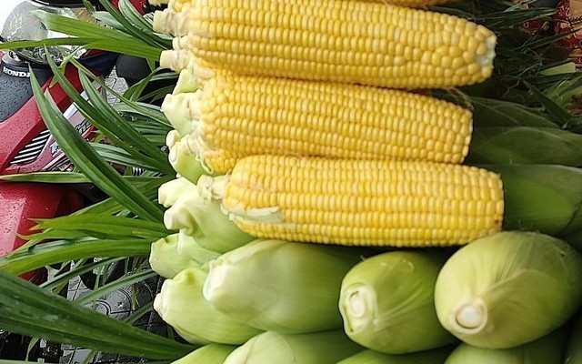 Bắp Mỹ Hấp Lá Dứa