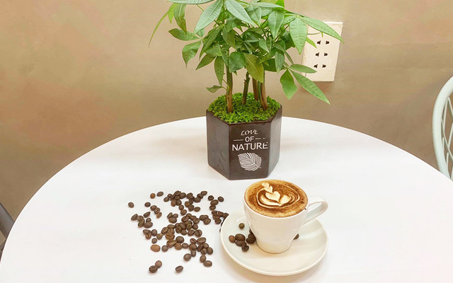 Fucking Love Milk Tea