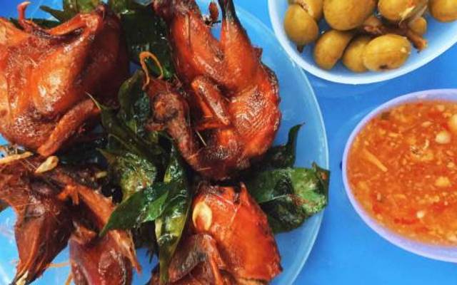 Tú Xèo - Chim Cút Quay Móc Mật
