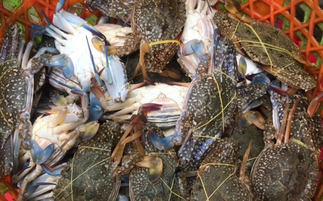 Hải Sản Nam Khôi