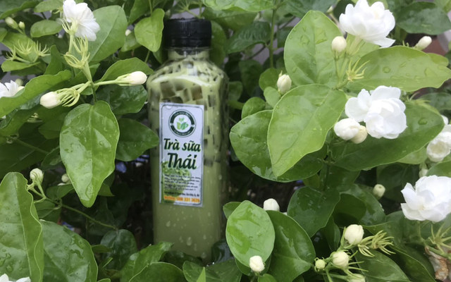 Trà Sữa Thái - Shop Online - Quan Hoa