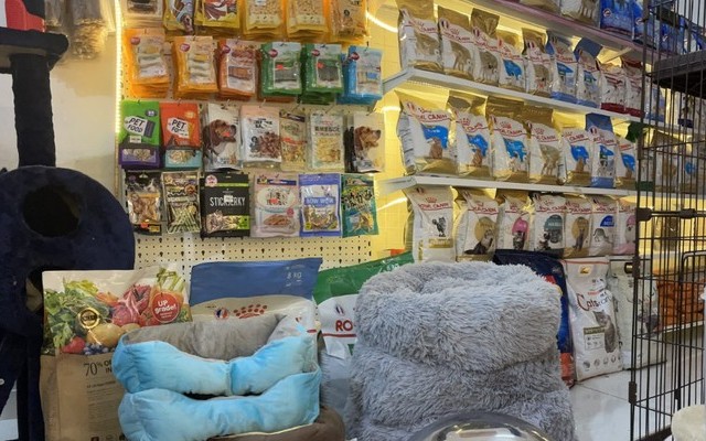 Ben's Pet Shop - Mua Bán Chó Mèo, Thức Ăn & Phụ Kiện - Châu Thị Vĩnh Tế