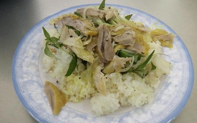 Cơm Gà Tam Kỳ - Hòa Hảo