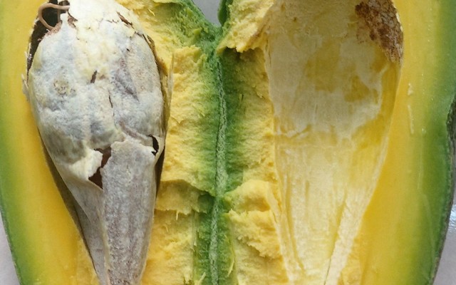 Phương - Coffee & Smoothie - An Phú