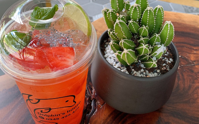 Dolphin - Coffee & Tea