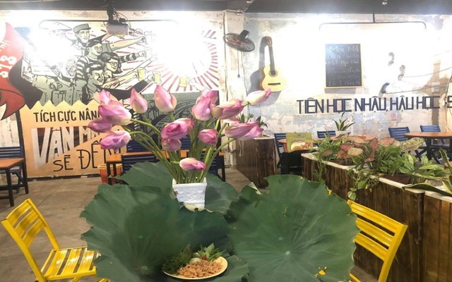 B Zone - Bia Hà Nội 313