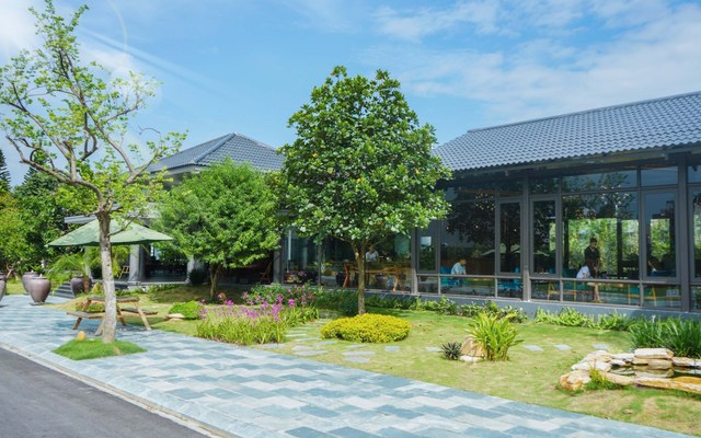 Like Coffee & Healthy Food