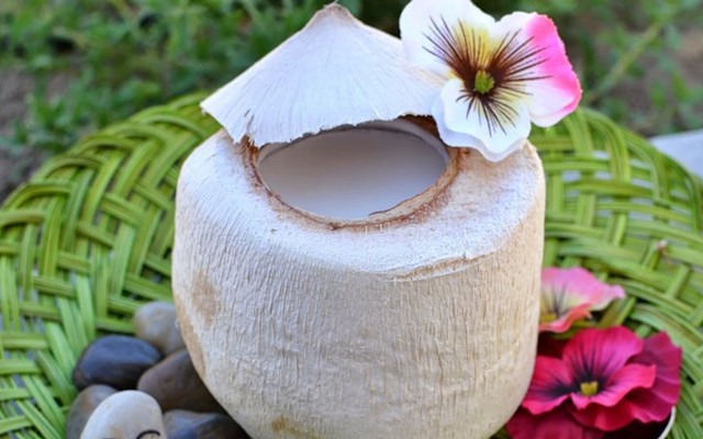 Đại Lý Dừa Sỉ & Lẻ