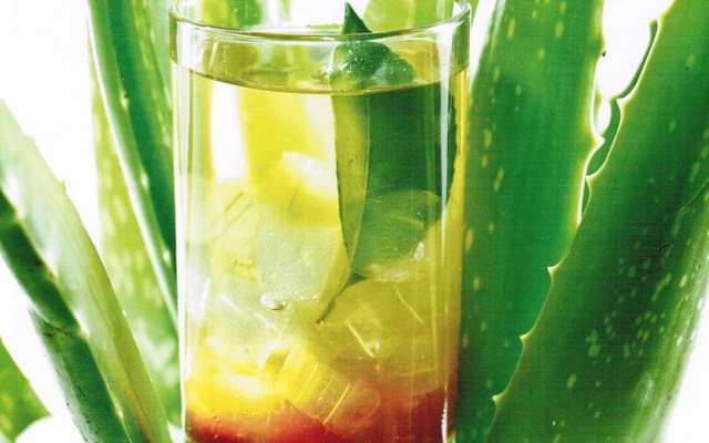 Sunny - Trà Nha Đam